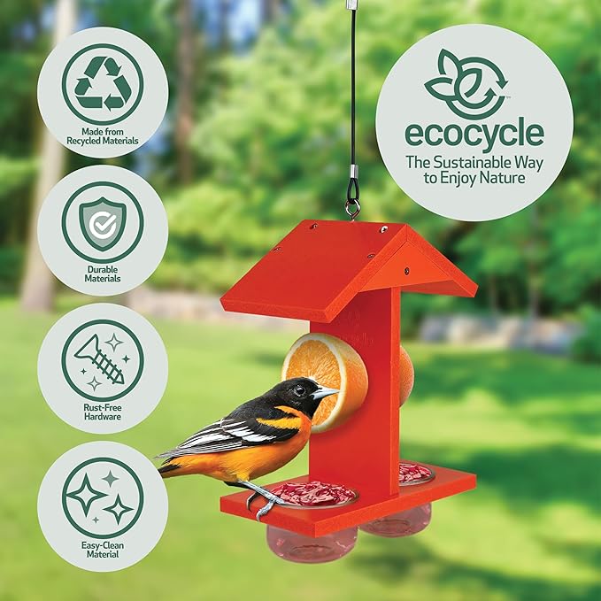 Citrus Sampler Recycled Plastic Orange & Jelly Oriole Bird Feeder for Wild Birds and Outdoor Décor, Dual-Sided Feeding & 2 Removable Glass Dishes & Fruit Spikes, 0.4 Quart Capacity, Orange