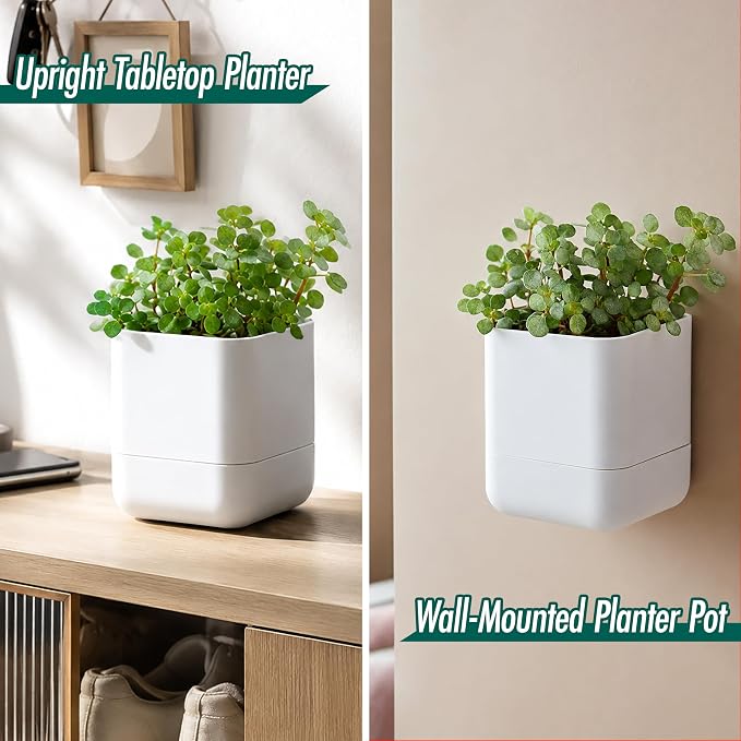 Phoenix Vine 4.5 Inch Wall Mounted Self-Watering Planter Pot for Indoor Houseplants and Herbs | Hanging Planter for Window Sills, Bathroom Walls, Home & Office Décor, White, Set of 3, 01-B-D-3
