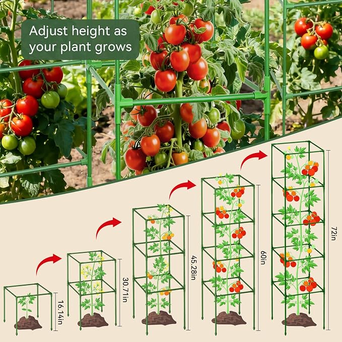 Halatool 4 Pack 72" Extra Tall Square Tomato Cages, Heavy Duty Metal Plant Support for Indeterminate Tomatoes, Climbing Plants, Vegetables, Up to 6ft Garden Cages for Indoor Outdoor Raised Beds, Pots