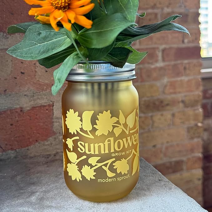 Modern Sprout Mason Garden Jar -Self-Watering Hydroponics Growing System Kit w/Organic Herb Seeds - Jar Planter for Indoor Herb Garden -Seed Starter Kit Basil+Lavender+Sunflower