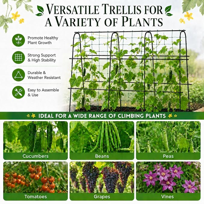 FOLLOOK Cucumber Trellis for Raised Garden Bed, Rustproof Metal Garden Arch Trellis for Climbing Plants Support Outdoor Fruit Grape Vine Vegetable Tomato Bean Pea Trellis, 63x48inch, Black