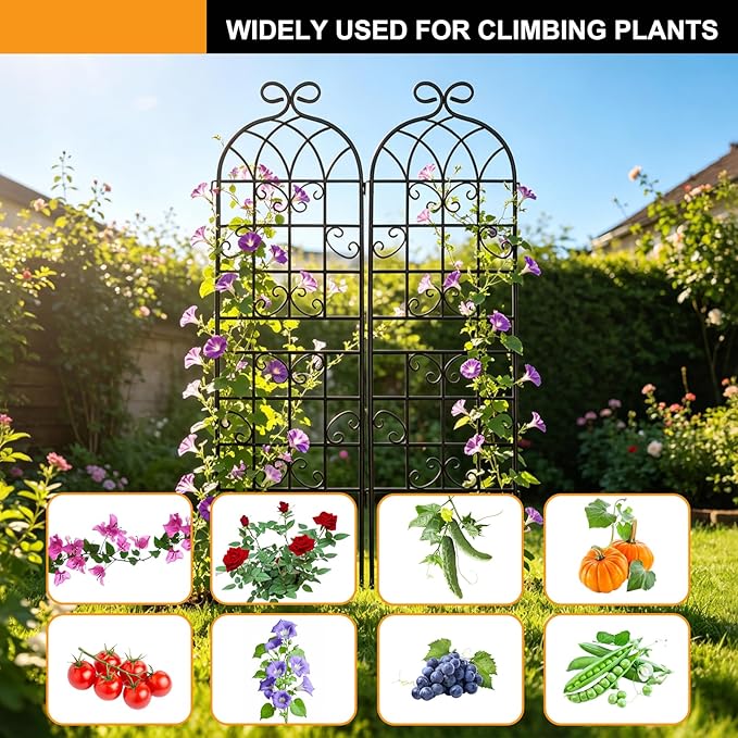 2 Pack 71" x 20" Metal Garden Trellis for Climbing Plants Outdoor, Heavy Duty Plant,Perfect for Climbing Roses, Clematis, Honeysuckle, Cucumbers, Pole Beans, Grape Vines and Flowering & Vines