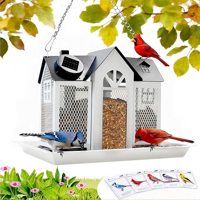 Solar Bird Feeder for Outdoors Hanging – Heavy Duty Metal Wild Bird Feeders with Solar Light & 5 Bird ID Cards – Chew Resistant Seed Feeder for Cardinal, Unique Gifts for Mom