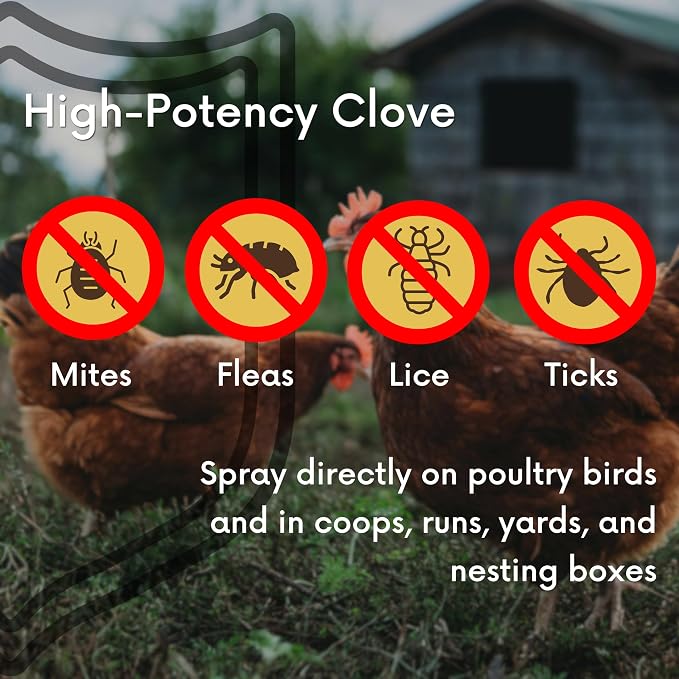 Poultry Chicken & Coop Spray 32 oz | Kills Mites, Fleas, Lice & Ticks | Clove & Cottonseed Essential Oils | Use on Chicks* & Laying Hens | No Egg Withdrawal | Made in USA
