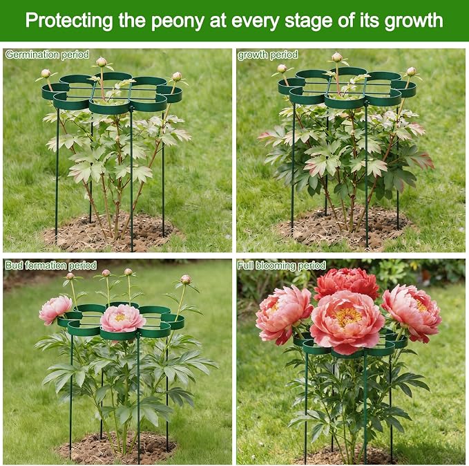 Peony Cages and Supports - Outdoor Plant Support for Peonies & Dahlias - Durable Flower Support System with Snake Ring Stakes - Ideal Gift for Gardening Enthusiasts