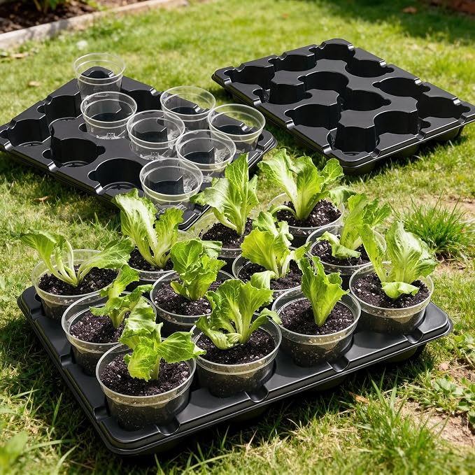 homenote 4 Inch Seed Starting Trays with Humidity Domes for Plants, 4 Pack 12-Cell Seedling Starter Trays, Plant Starter Germination Trays for Pots Seedlings for Indoor,4" Opening Compatible Pots