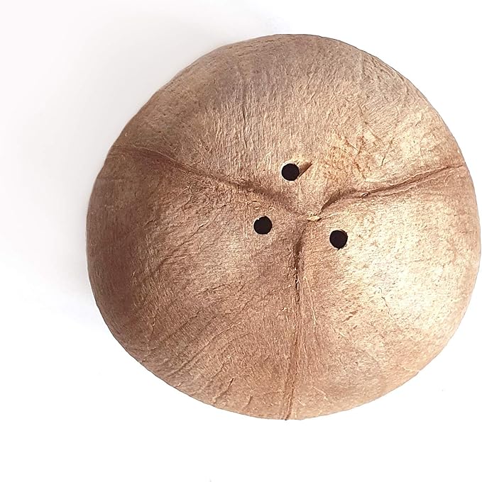 Rainforest Bowls Set of 2 Hanging Fiber Coconut Planters w/Drainage Hole- Perfect for Succulents, Flowers, Small Plants, Indoor & Outdoor Gardens- Handcarved by Artisans, Eco-Friendly & Sustainable
