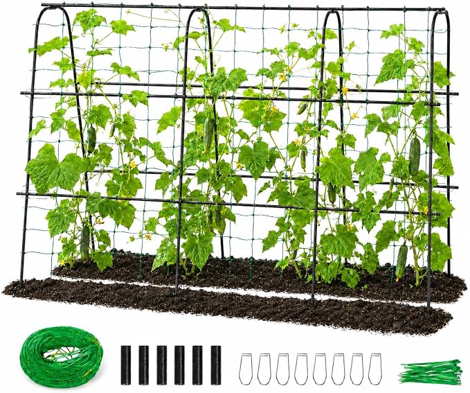 FOLLOOK Cucumber Trellis for Raised Garden Bed, Rustproof Metal Garden Arch Trellis for Climbing Plants Support Outdoor Fruit Grape Vine Vegetable Tomato Bean Pea Trellis, 63x48inch, Black