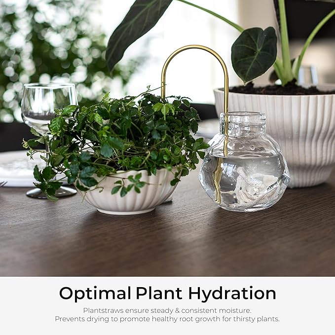 Beautiful Self-Watering Wick System for Effortless Plant Care, Automatic Drip Irrigation, Sustainable & Stylish Scandinavian Design, Ideal for House Plants (M, Black)