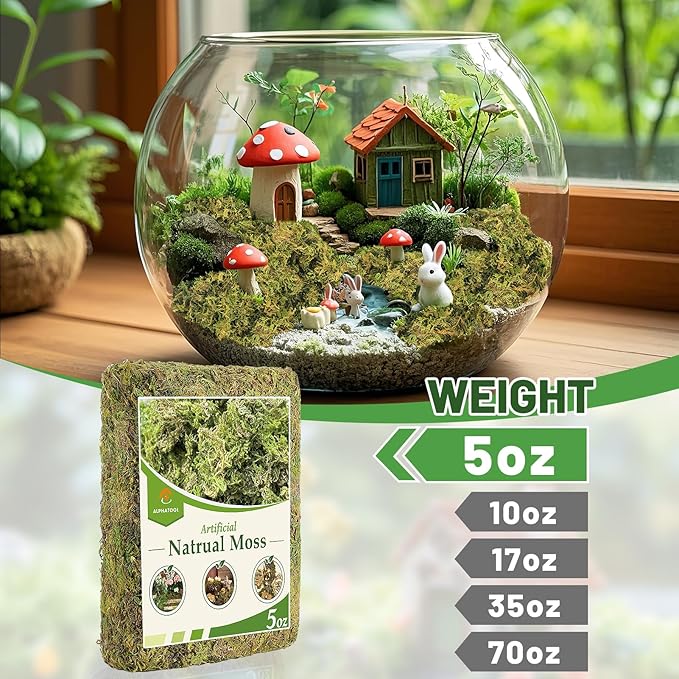 Alphatool 5oz Natural Green Moss for Crafts Beginners - Starter Moss for Plants Indoor, Artificial Fairy Gardens, Mini Mosswall, Glass Terrariums, Filling Fake Plants, Home Decoration