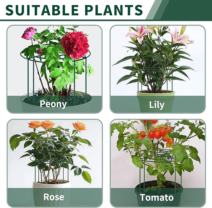 SYITCUN 4pack Peony Cages and Supports, 10 x 16 Inch Four Legs Peony Cage, Heavy-Duty Peonies Support Cages, Peony Ring for Roses, Hydrangeas, Sage, Peonies, Cucumbers, Tomato
