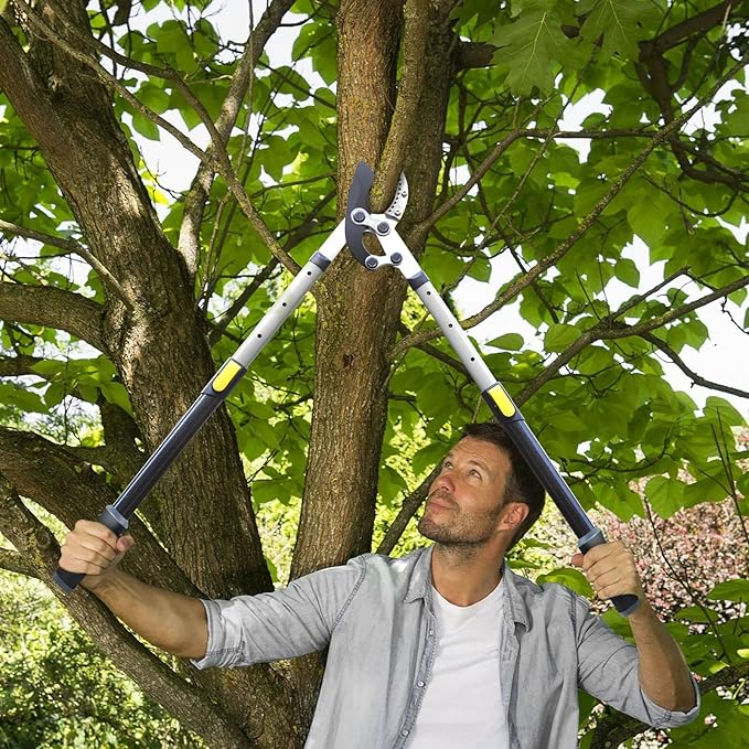 Jardineer Loppers for Tree Trimming Heavy Duty with Compound Action, Labor-Saving Branch Cutter with 2 Inch Capacity, 5-Level Extendable 28-39 Inch Telescoping Handle Tree Trimmer for Yard Work