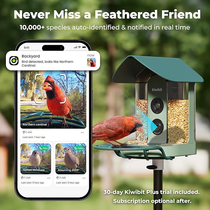 Kiwibit Smart Bird Feeder 4K AI Camera with Solar Panel for Outdoors, Bird Species Identification, 8MP Photos, 4K Video Livestream, Real-Time Bird Alerts, Birdwatching Gift for Bird Lovers, Sage Pine