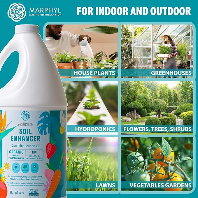 MARPHYL Plant Fertilizer Houseplants and Garden - Marine Phytoplankton Soil Improver and Hydroponic Fertilizer for Grasses, Bamboo, Succulents, & Vegetables - Organic Plant Liquid (Pack of 2)