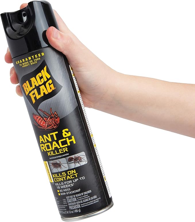 Black Flag Ant & Roach Killer Aerosol, Unscented, 17.5-Ounce, 12-Pack