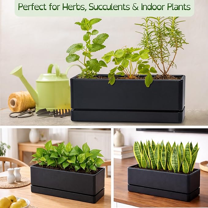 D'vine Dev 12 Inch Window Box Planter, Rectangle Plastic Herb Planter with Drainage Holes and Saucer, Indoor Succulent Cactus Vegetable Pot for Windowsill, Garden Balcony, Black, Set of 1, 76-X-B-1