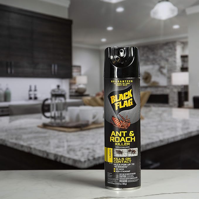 Black Flag Ant and Roach Killer 17.5 Ounces, Aerosol Spray, Lemon Scent