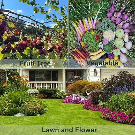 All Purpose Fertilizer, 20-20-20 Indoor Plant Fertilizer, Plant Food for Houseplants, Boost Stem & Leaf Growth, Improves Root Health, Promote Large Flower Blooming & Fruit Growth（6LB）