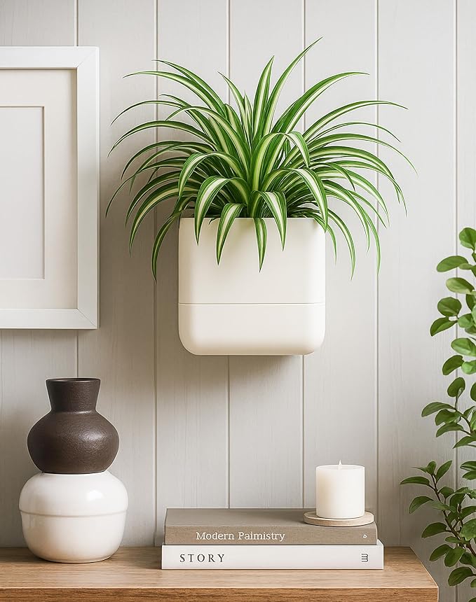 Phoenix Vine 6.5 Inch Wall Mounted Self-Watering Planter Pot for Indoor Houseplants and Herbs | Hanging Planter for Window Sills, Bathroom Walls, Home & Office Décor, Oatmeal, Set of 1, 01-C-G-1