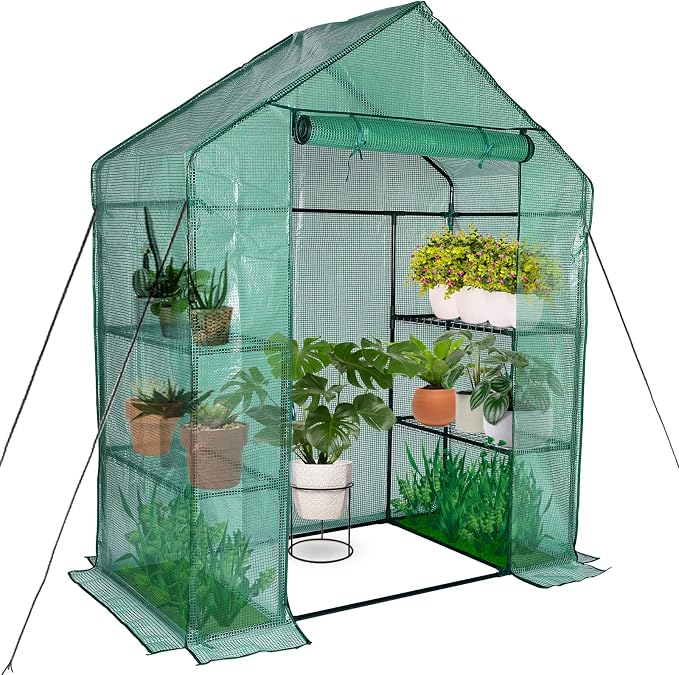 Mini Greenhouse,Greenhouses for Outdoors,Portable Walk in Green House for Garden Plants that Need Frost Protection and Away from Animals(56"x30"x76")-Green