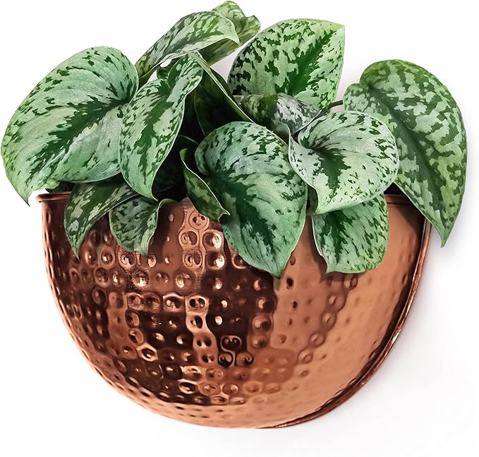 Allegorie Metal Wall Planter | Indoor or Outdoor Hanging Plant Pot | Farmhouse Decor & Boho Kitchen Decoration for Herbs & Succulents and Living Wall 12x7 (Copper)