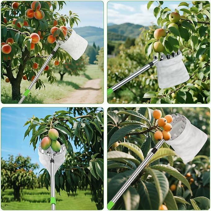BURMONG 6.6 FT Fruit Picker Tool with Stainless Steel Pole & Soft Cloth Basket – Lightweight Tree Fruit Harvester for Apple, Mango, Orange, Pear, Lemon, Plum & More – Rust-Resistant, Easy Assembly