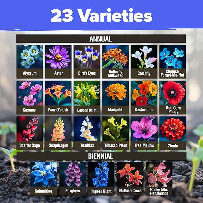 HOME GROWN 𝗨𝗦𝗔 𝗣𝗥𝗘𝗠𝗜𝗨𝗠 90,000+ Wildflower Seeds & Wildflower 134,000 & English Lavender Seeds 1,500
