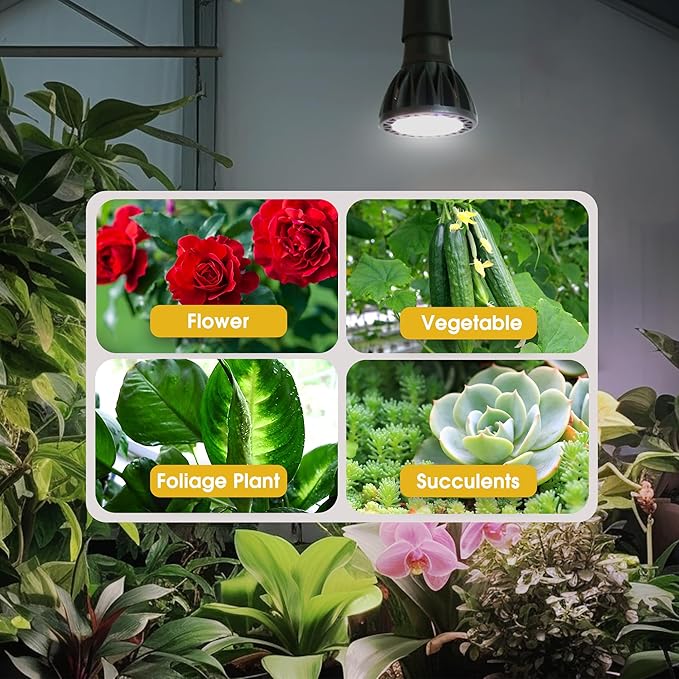 Briignite Grow Light Bulbs, 10W Plant Light Bulb, 150W Equivalent, High PPFD, PAR20 Full Spectrum Grow Bulb, E26 Base, LED Grow Lights for Indoor Plants, Seed Starting, 1 Pack