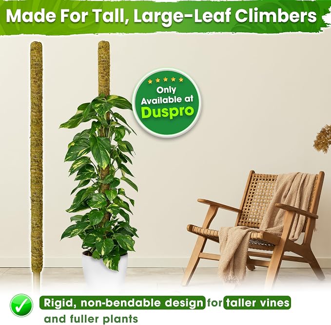 DUSPRO 80 Inches Large Moss Pole for Plants Monstera, Plant Stakes for Indoor Plants, Monstera Plant Support, Plant Support/Plant Pole for Big Climbing Plants Indoor (1pc., 80'')