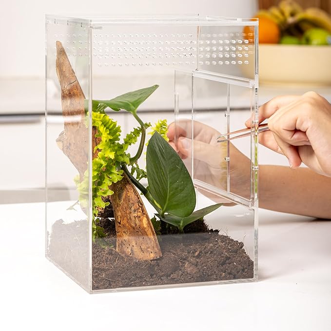 EctoTherm Jumping Spider Enclosure - for Habitat, Terrarium Kit and Arboreal Tarantula Enclosure