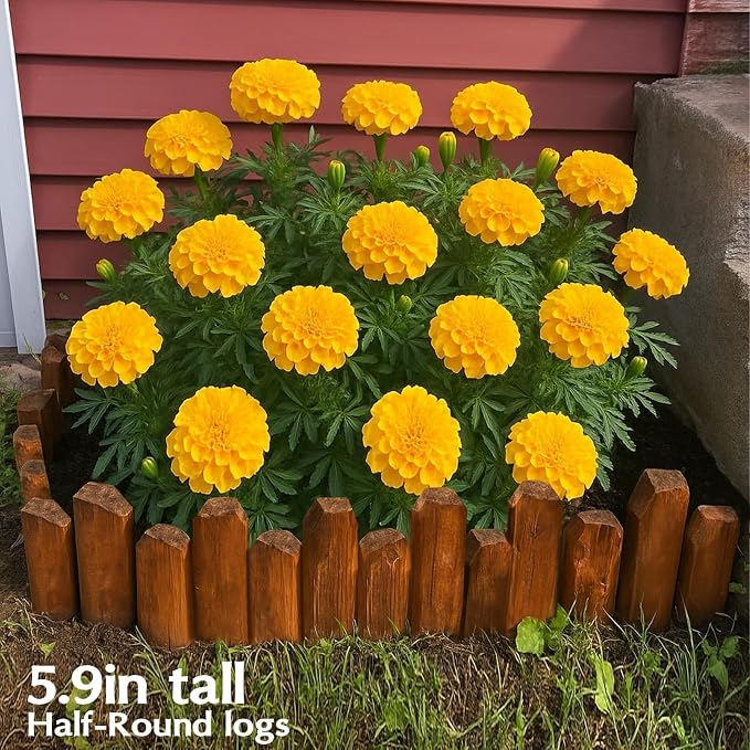 Wood Garden Edging for Landscaping – Half-Round Border Fence for Flower Beds， Pathways & Patio， Natural Decorative Wooden Panels for Garden Landscaping， 7.8in H x 4.0 ft L (6 Pack)