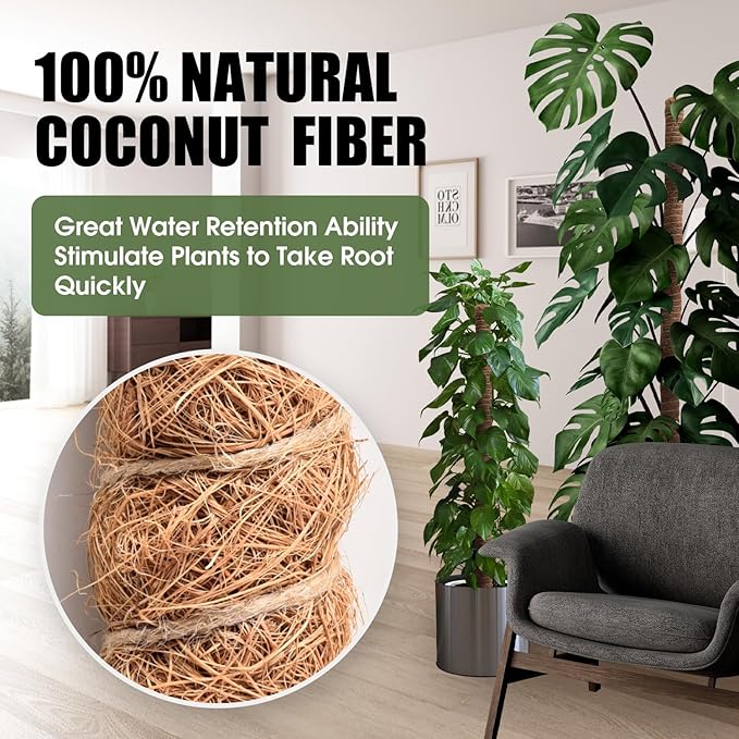3 Pack Moss Pole 63 Inch Monstera Plant Support Moss Poles Bendable for Climbing Plants Longer Coco Coir Sticks Support Stakes Tall for Indoor Creeper DIY Shape Plants Grow Upwards