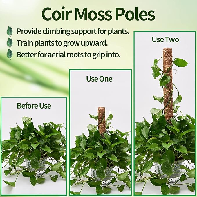 Eibikdi 8 Pcs Moss Pole for Plants Monstera, Plant Support Stakes for Indoor Climbing Plants Grow Upwards, with 65ft Twist Ties, 13ft Jute Rope, 6.5ft Hook-and-Loop Strip