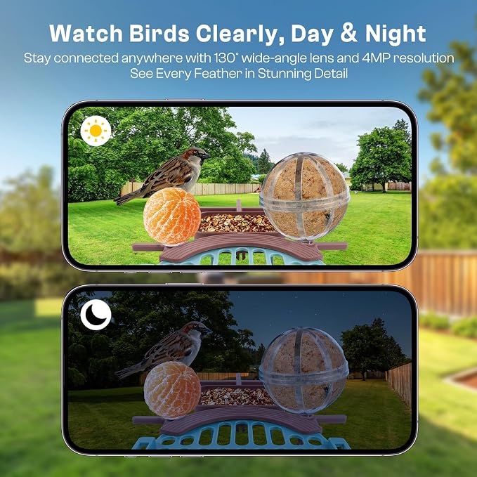 Smart Bird Feeder with Camera - AI Identify 10000+ Bird Species, Solar Powered Bird House with 1080P Color Night Vision, Auto Capture Bird Videos, Wireless Outdoor Camera, Ideal Gift for Nature Lover