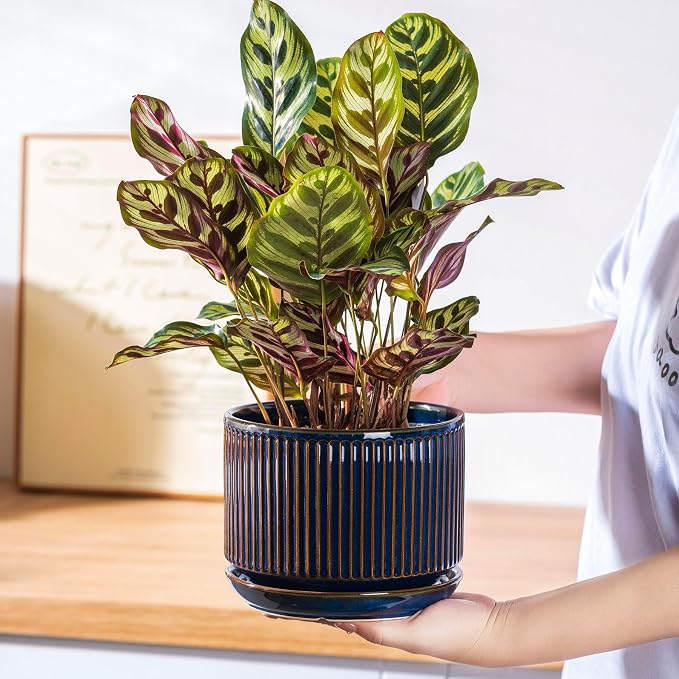 SURE YUESI Ceramic Plant Pots Set of 3, Indoor Outdoor Planters with Drainage Hole and Saucer, Ceramic Flower Pots for Indoor Plants, 4.3+5.5+6.8 Inch, Home, Garden, Patio and Office, Glossy Blue