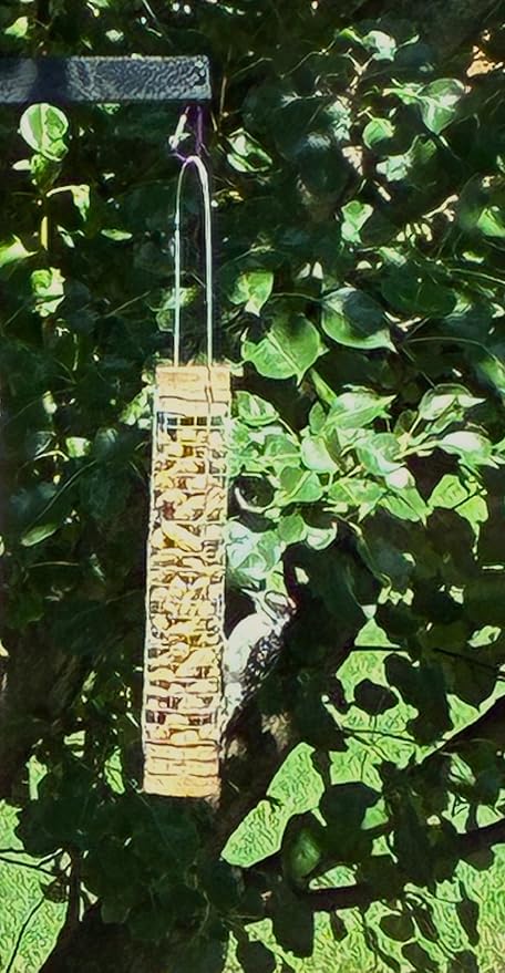 Backyard Birds Unlimited Cedar Whole in-Shell Peanut Outdoor Hanging Wild Bird Feeder Made in the USA-Small 21" Inch
