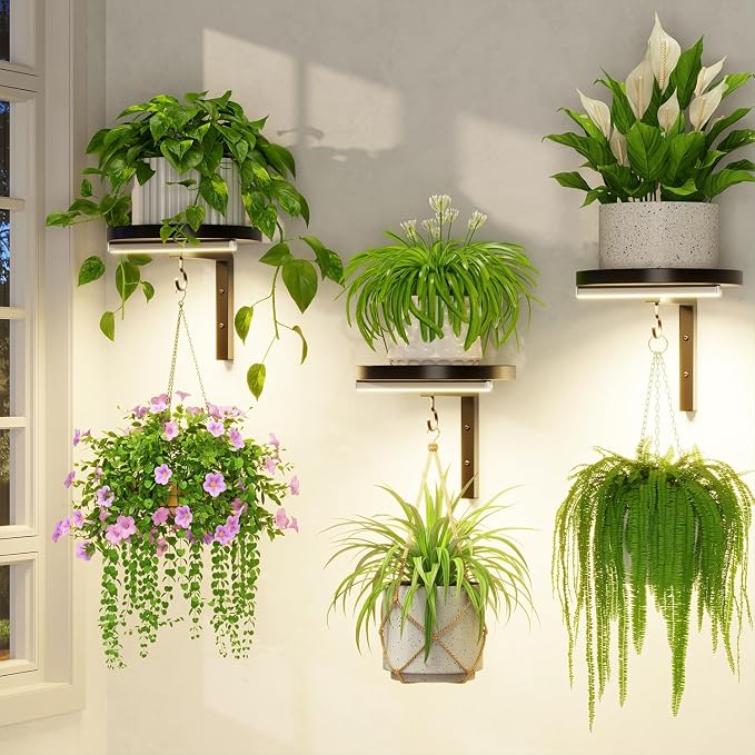 LASZOLA Plant Hangers Shelves Wall Mounted Indoor with Grow Lights, Metal Window Plant Holders, 3Pcs Modern Floating Flower Display Stand with 3 Hooks for Outdoor Kitchen Bathroom Decor, Black