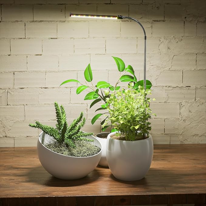Juhefa Grow Light for Indoor Plants Growing, 6000K Full Spectrum Gooseneck Plant Lamp for Seedings Succulents Small Plants, 5 Dimming & 4/8/12/18H Timer (1 Pack)