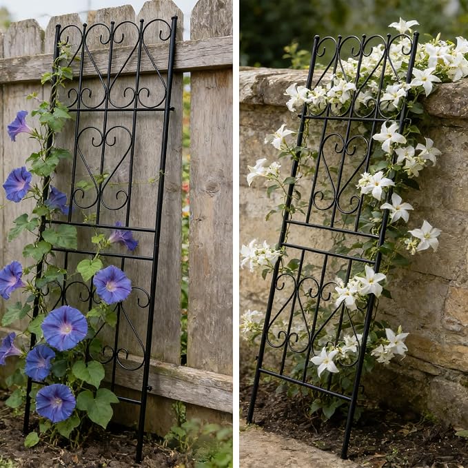 Thealyn 2 Pack Metal Garden Trellis for Climbing Plants Outdoor, 6.7ft x1.7ft Decorative Trellis Wall, Multi-Purpose Support for Roses,Vines,Tomatoes,Cucumbers & Raised Garden Beds