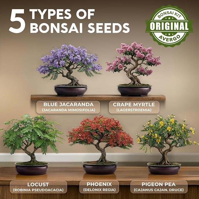 AVERGO Bonsai Tree Kit Deluxe - 5X Unique Japanese Bonzai Trees | Complete Indoor Bonsai Starter Kits for Growing Trees – DIY Gardening Gifts for Mother, Women & Men