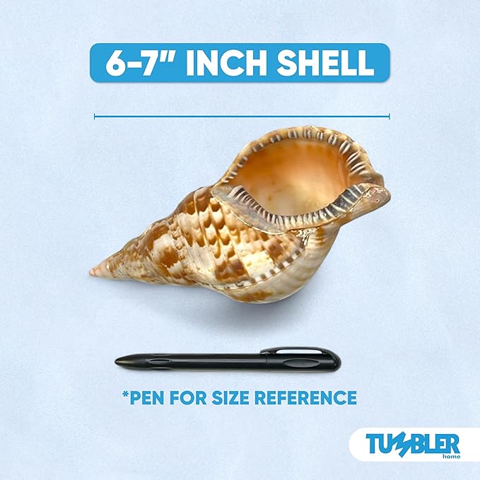 Tumbler Home Large Conch Sea Shells for Decorating or Fish Tank, Coastal & Nautical Decor, Air Plant Holder, Aquarium Ornaments, Big Sea Shell, Decorative Seashells, Beach Party Decor (Triton)