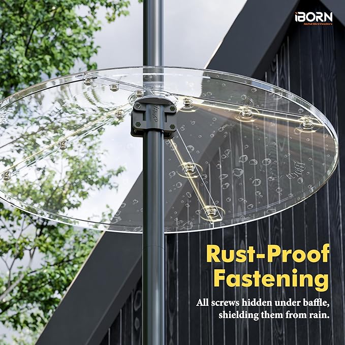 iBorn Squirrel Baffle for Bird Feeder Pole, 19.5” Oversized Squirrel Guard Defender, Bird Feeder for Outdoors Protector, Polycarbonate(PC), Pack of 1, Clear