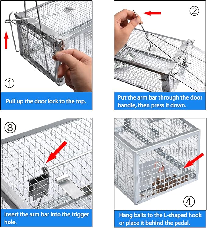 Gingbau 2-Pack Rat Traps Humane Live Chipmunk Mouse Trap Cages for Indoor and Outdoor Use