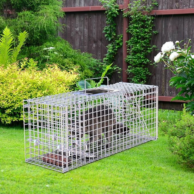 TeqHome Humane Animal Cage Trap,26"x9"x10" Heavy Duty Foldable Collapsible Galvanized Steel Live Trap for Stray Cats, Raccoons, Groundhogs,Squirrel,Chipmunk,Indoor/Outdoor Use,Easy to Catch & Release