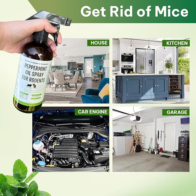 Kate Naturals Peppermint Oil Spray for Rodents, Squirrels, Mouse, Bat, Rat, Car Engines, Mice (16oz, Non-Toxic Rodent Repellent, Pet Safe)