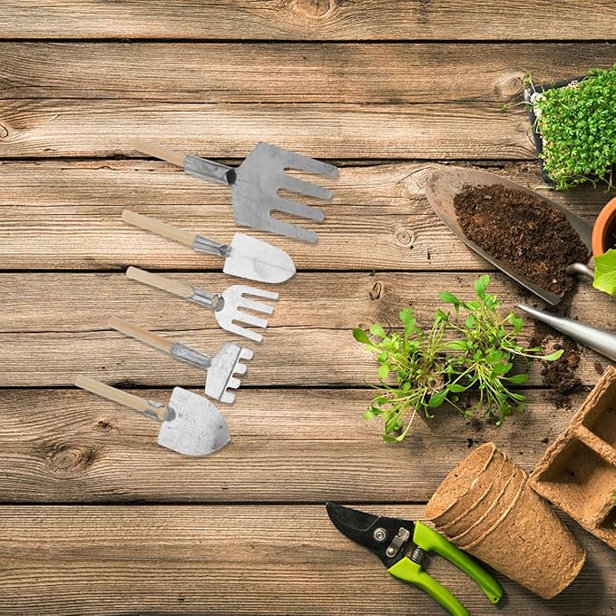Complete Set of 5 Miniature Gardening Tools for Outdoor and Terrarium Plants – Mini Hand Shovels - Rake - Planting Shovel Iron Child Flowers – for Bonsai Tree Garden and