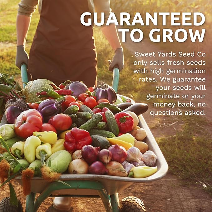 Organic Seeds Essential Variety Pack - 10 Individual Packs - 2026 Season - Summer Squash, Cherry Tomatoes, Arugula, Broccoli and More! for Indoor & Outdoor Planting (Non-GMO, Certified Organic)
