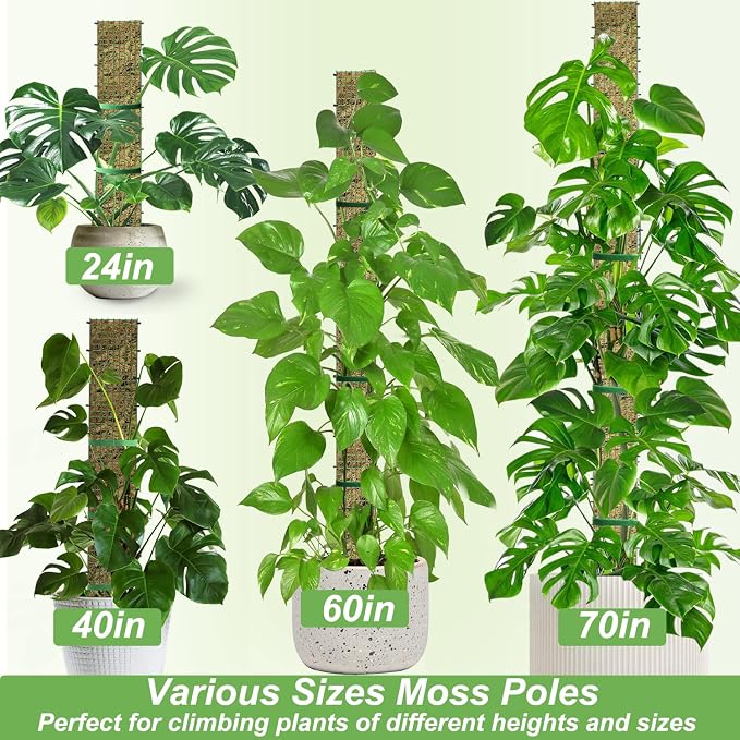 60" Metal Moss Pole, D Shape Sphagnum Moss Pole, Moss Poles for Climbing Plants, Monstera, Indoor Climbing Plants (2Pcs 60")