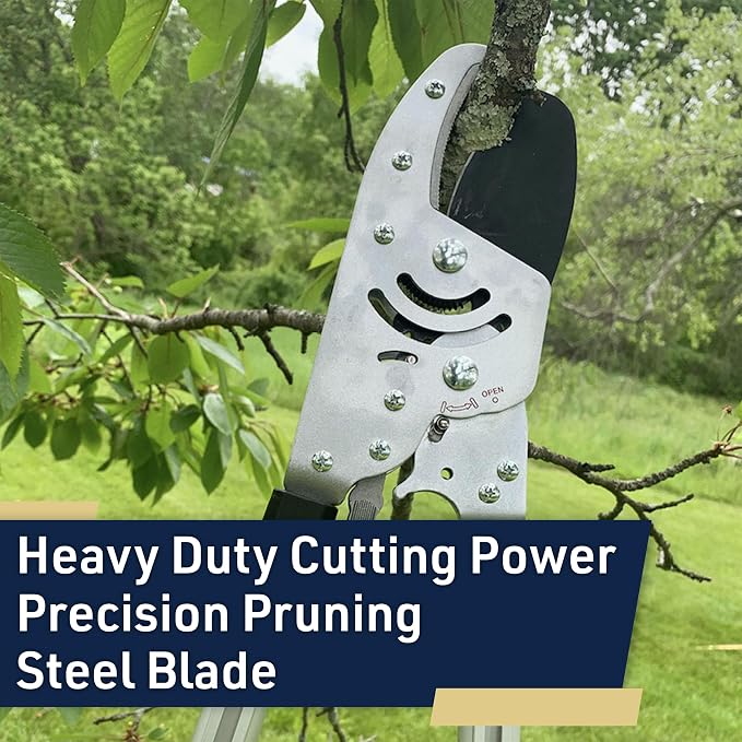 Tree Trimmer Loppers - Double Ratcheting Anvil Lopper - Extendable 26" - 40" Long Handles - Loppers for Tree Trimming Heavy Duty by Kings County Tools
