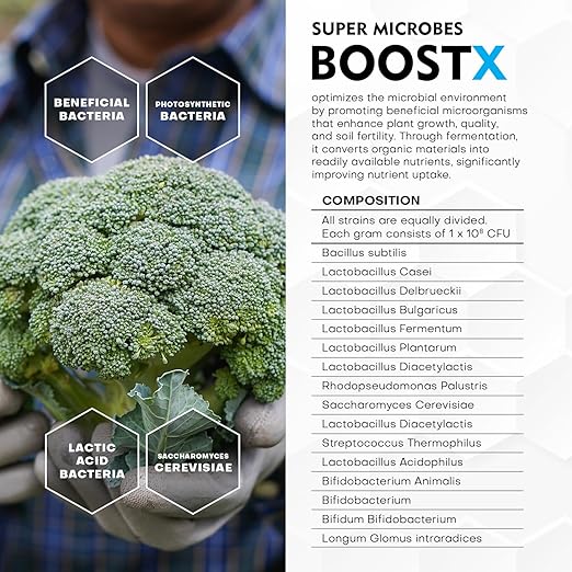 BoostX Bloom Booster & Grow Fertilizer | 16-Strain Mycorrhizae, Trichoderma & Beneficial Bacteria | Maximizes Bud, Flower & Harvest Yields | Soil & Hydroponic Nutrient Supplement | 150g